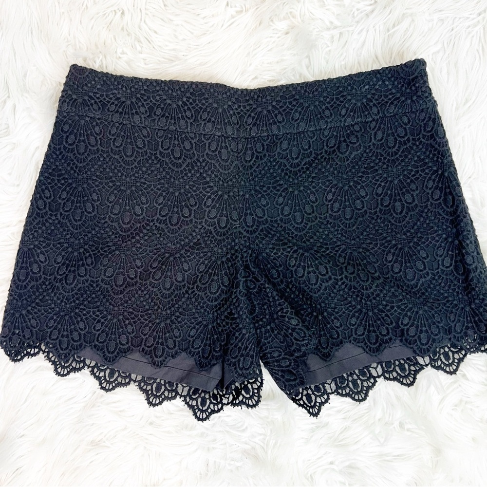 elevenses Black Lace Overlay Women's Shorts